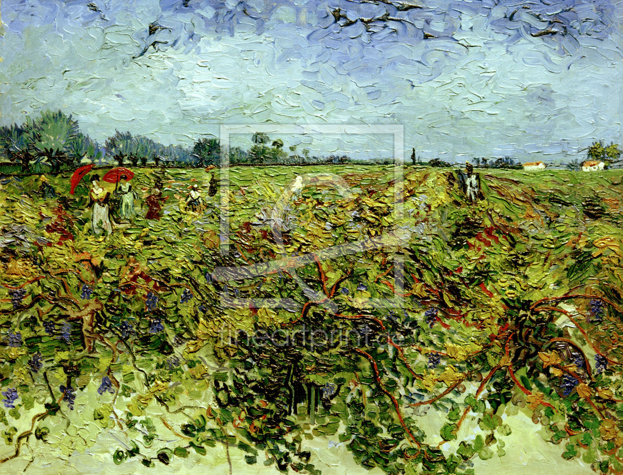 Bild-Nr.: 30003052 V.van Gogh, The Green Vineyard / Paint. erstellt von van Gogh, Vincent