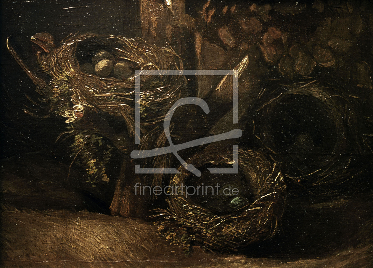 Bild-Nr.: 30003158 v.Gogh / Bird's nests / 1885 Bild-Nr.: 30003158 v.Gogh / Bird's nests / 1885 erstellt von van Gogh, Vincent