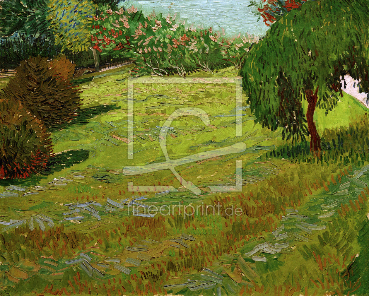 Bild-Nr.: 30003202 V.v.Gogh, Sunny Lawn in Public Park/1888 erstellt von van Gogh, Vincent