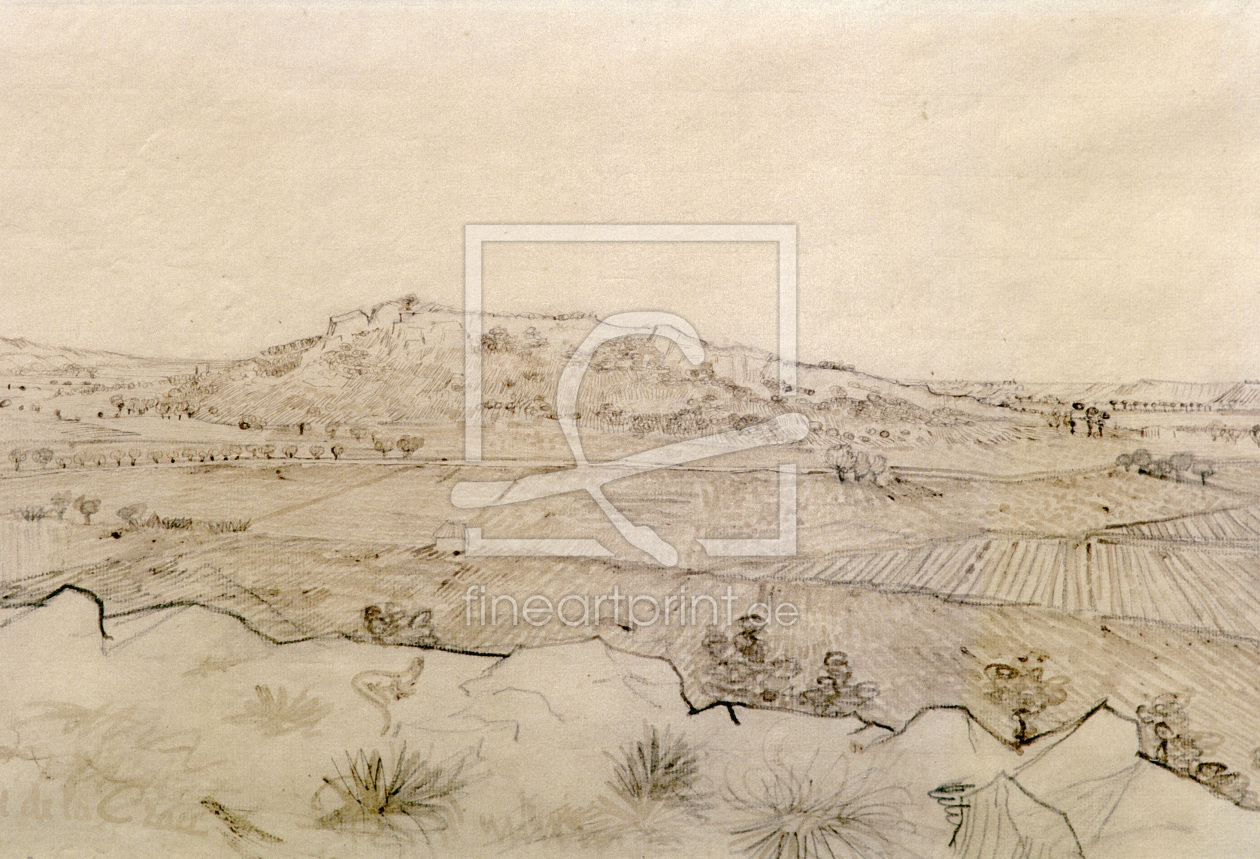 Bild-Nr.: 30003224 V.v.Gogh, Plain of La Crau / Draw./1888 erstellt von van Gogh, Vincent