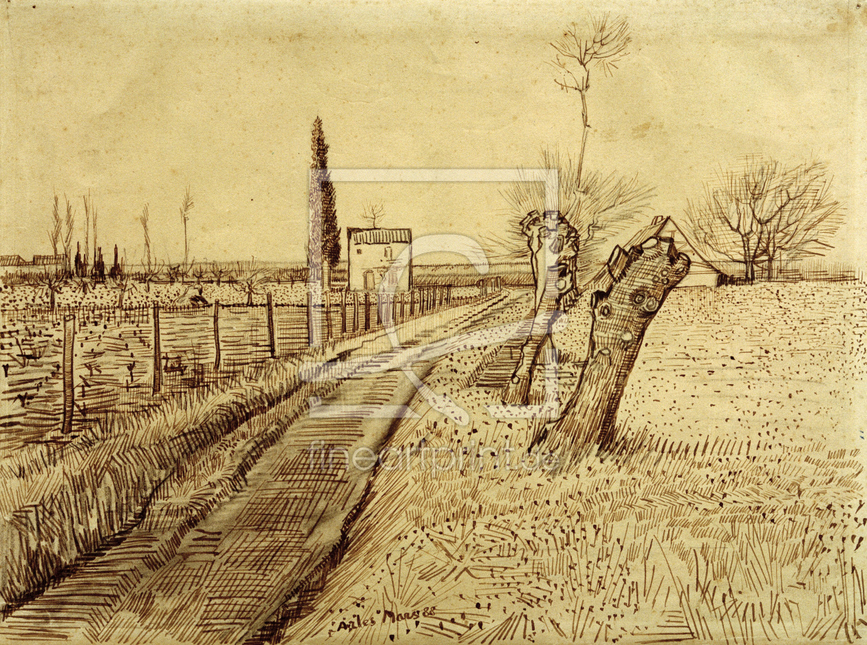 Bild-Nr.: 30003226 V.v.Gogh,Landscape w.Pollard Trees/Draw. erstellt von van Gogh, Vincent