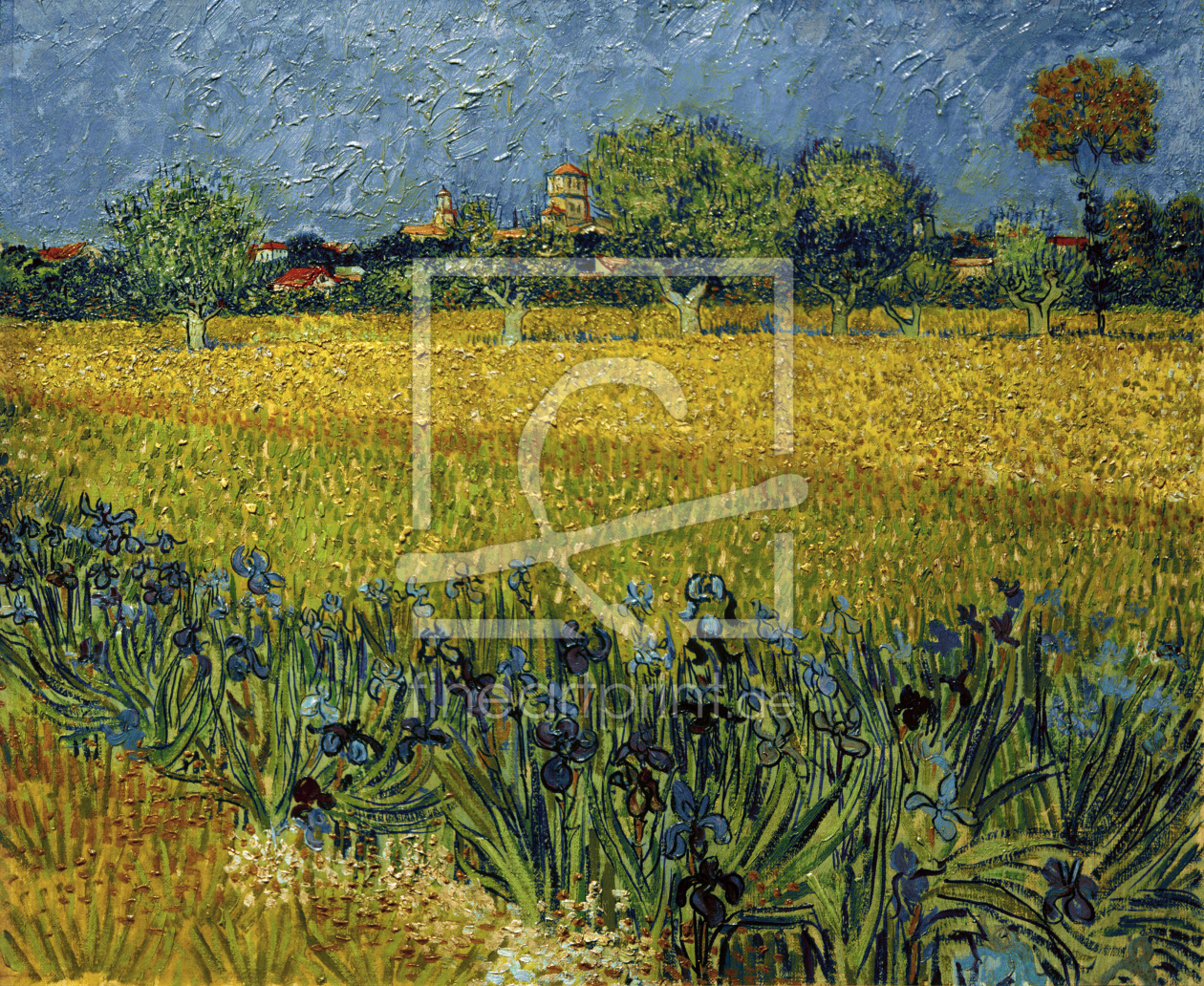 Bild-Nr.: 30003228 V.v.Gogh, Arles with Irises /Paint./1888 erstellt von van Gogh, Vincent