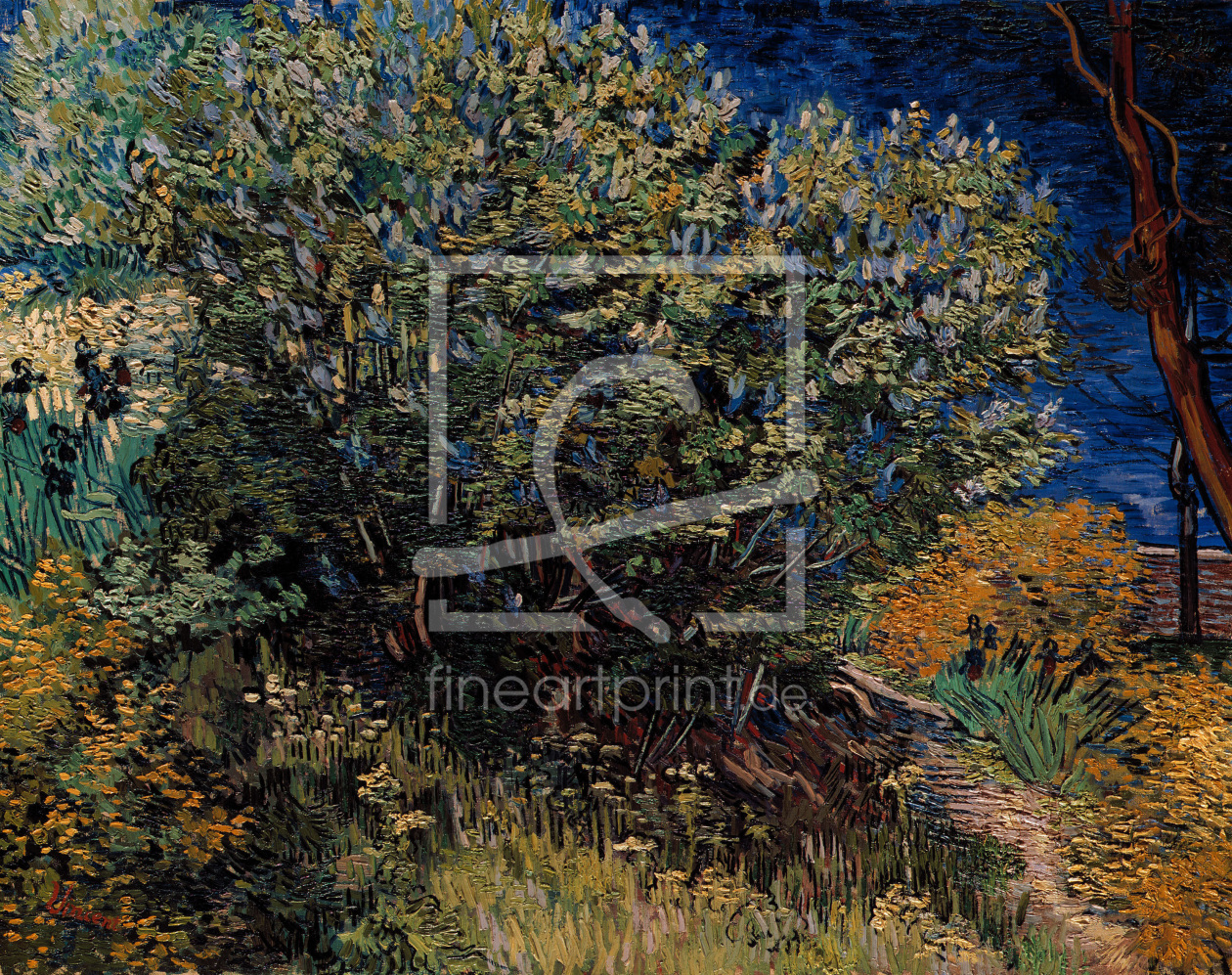 Bild-Nr.: 30003262 V.v.Gogh / Lilacs / Painting / 1889 erstellt von van Gogh, Vincent