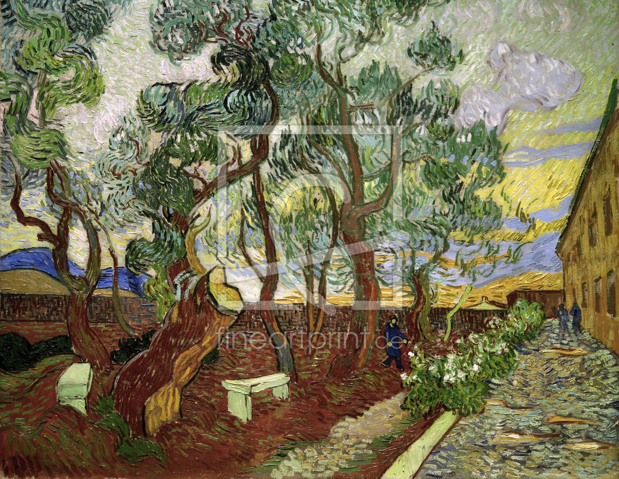 Bild-Nr.: 30003264 van Gogh / Garden of St.Paul Hospital erstellt von van Gogh, Vincent