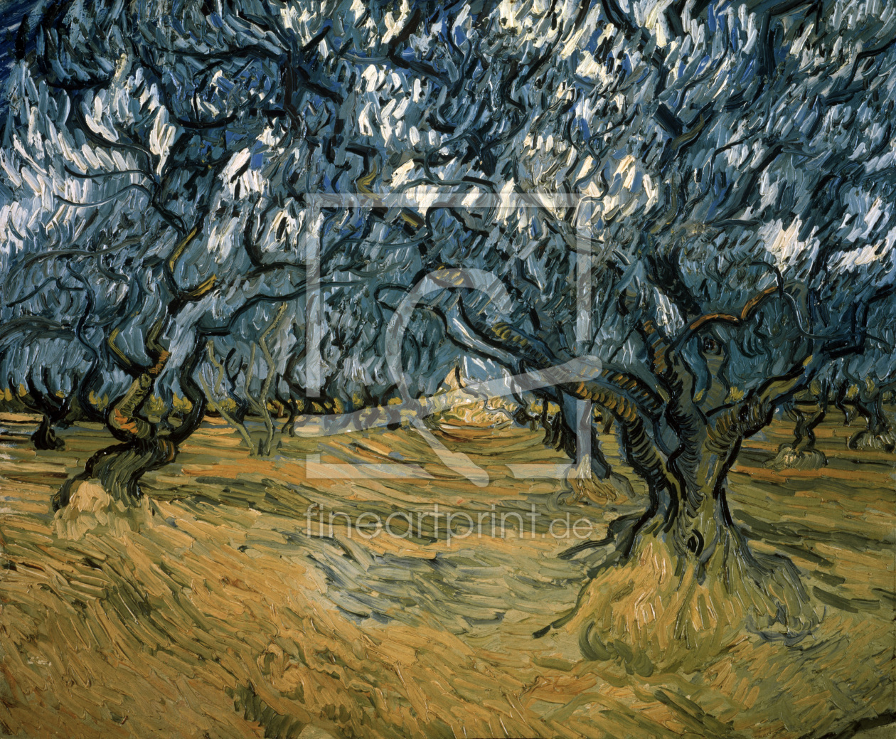 Bild-Nr.: 30003278 van Gogh / Olive Trees / 1889 erstellt von van Gogh, Vincent