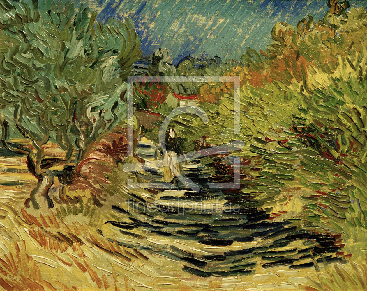 Bild-Nr.: 30003292 V.van Gogh, Path at St-Rémy /Ptg./1889 erstellt von van Gogh, Vincent