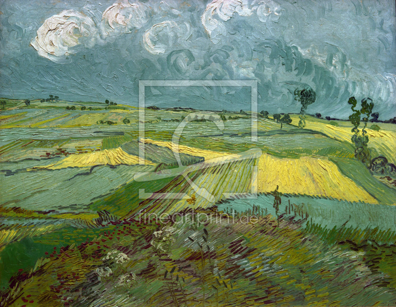 Bild-Nr.: 30003308 Van Gogh / Wheatfields in Auvers / 1890 Bild-Nr.: 30003308 Van Gogh / Wheatfields in Auvers / 1890 erstellt von van Gogh, Vincent