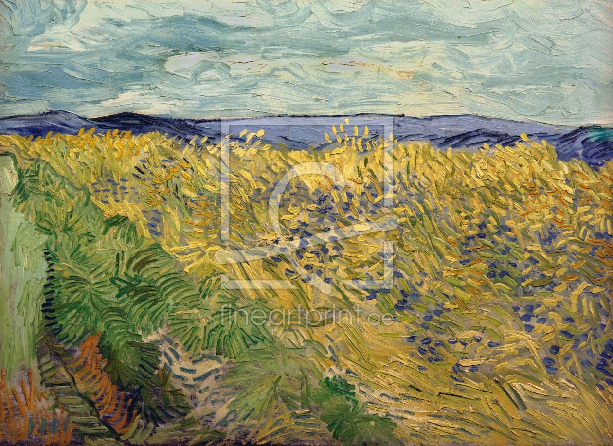 Bild-Nr.: 30003320 V.v.Gogh, Field w.Cornflowers /Ptg./1890 erstellt von van Gogh, Vincent