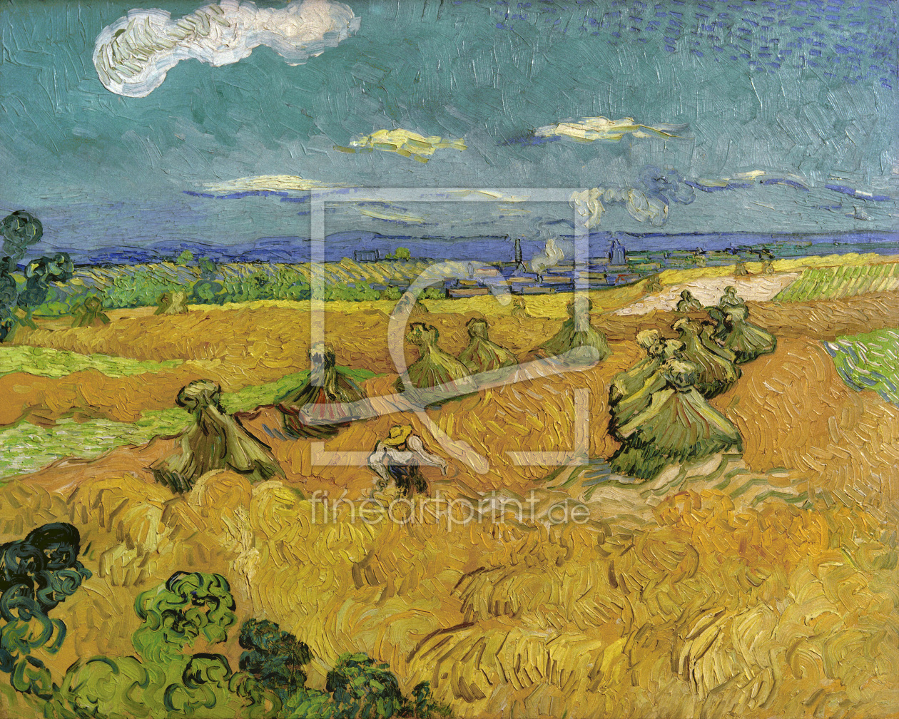 Bild-Nr.: 30003322 V.v.Gogh, Wheat Field w.Reaper/Ptg./1890 erstellt von van Gogh, Vincent