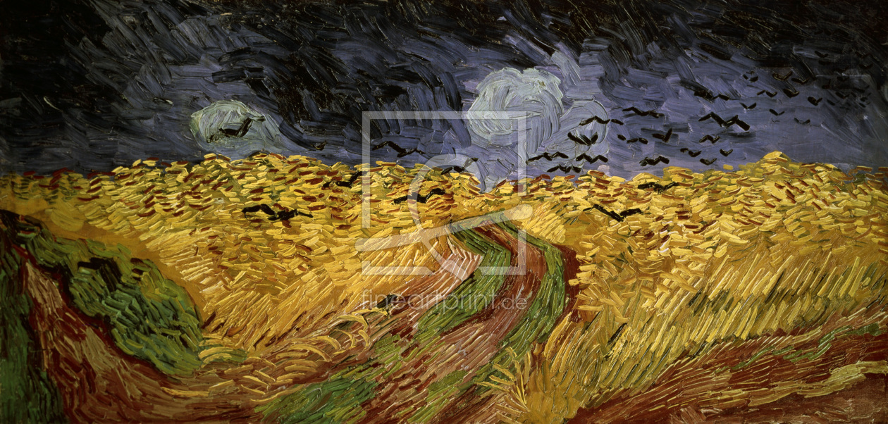 Bild-Nr.: 30003456 Van Gogh / Corn-field with Crows / 1890 erstellt von van Gogh, Vincent