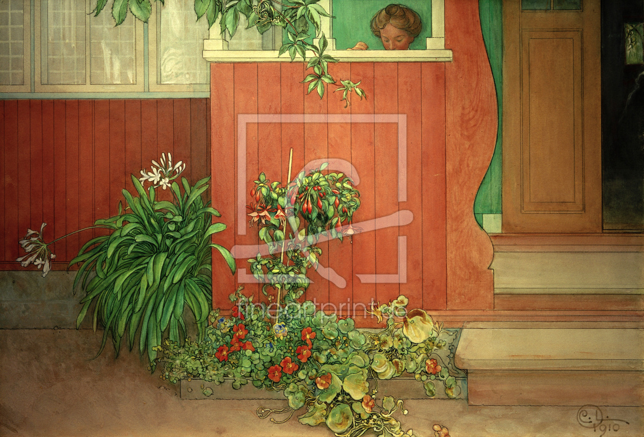 Bild-Nr.: 30003752 Carl Larsson, Suzanne auf der Veranda erstellt von Larsson, Carl