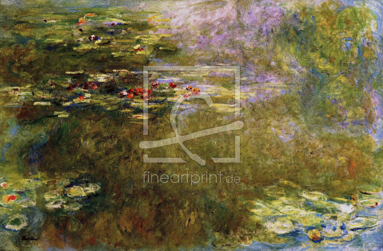 Bild-Nr.: 30004024 C.Monet / Waterlilies / 1910/16 erstellt von Monet, Claude