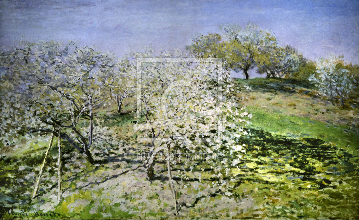 Bild-Nr.: 30004056 C.Monet, Spring, flowering apple trees. erstellt von Monet, Claude