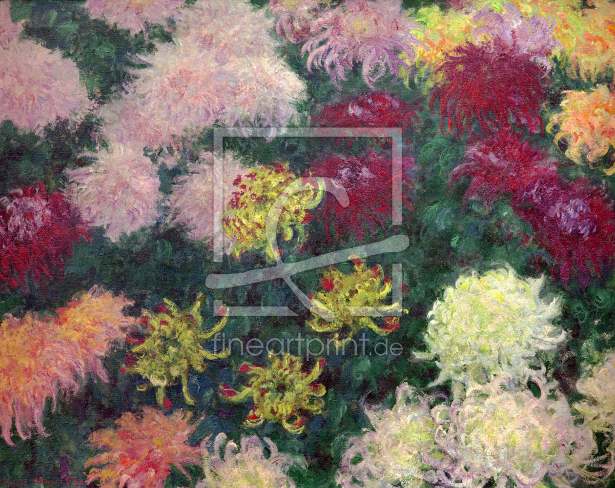 Bild-Nr.: 30004088 C.Monet / Chrysanthemum Bed / 1897 erstellt von Monet, Claude