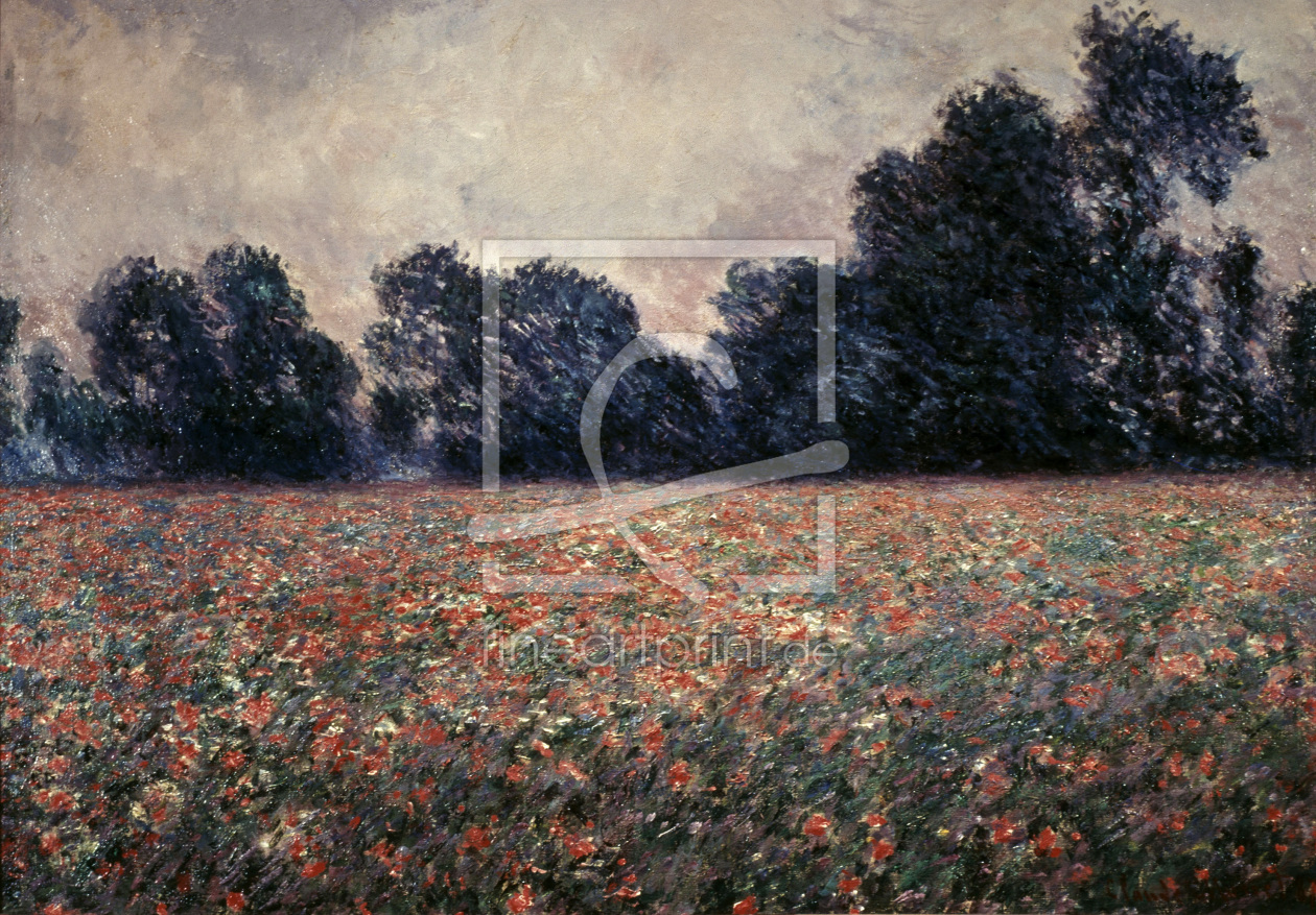 Bild-Nr.: 30004100 Cl.Monet / Field w.Wild Poppies / c.1900 Bild-Nr.: 30004100 Cl.Monet / Field w.Wild Poppies / c.1900 erstellt von Monet, Claude