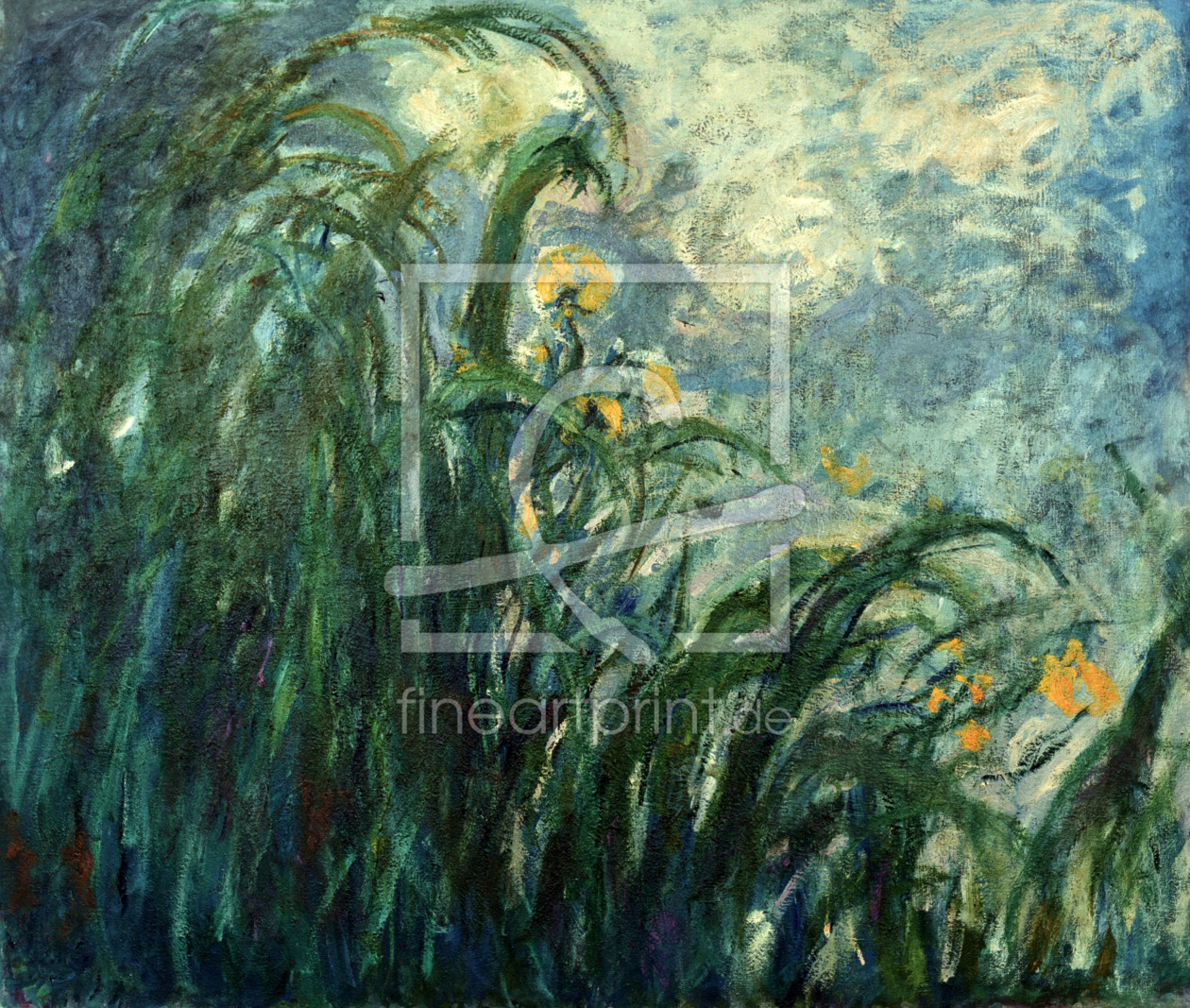 Bild-Nr.: 30004166 Monet / Yellow irises / 1924/25 erstellt von Monet, Claude