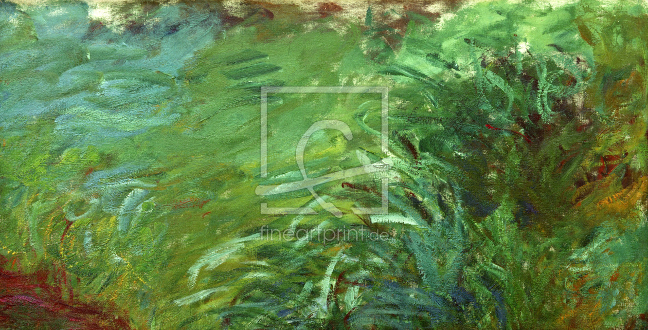 Bild-Nr.: 30004174 Claude Monet, Wasserpflanzen erstellt von Monet, Claude