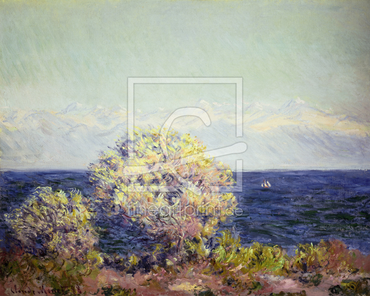 Bild-Nr.: 30004194 Claude Monet, Cap d'Antibes in Mistral erstellt von Monet, Claude