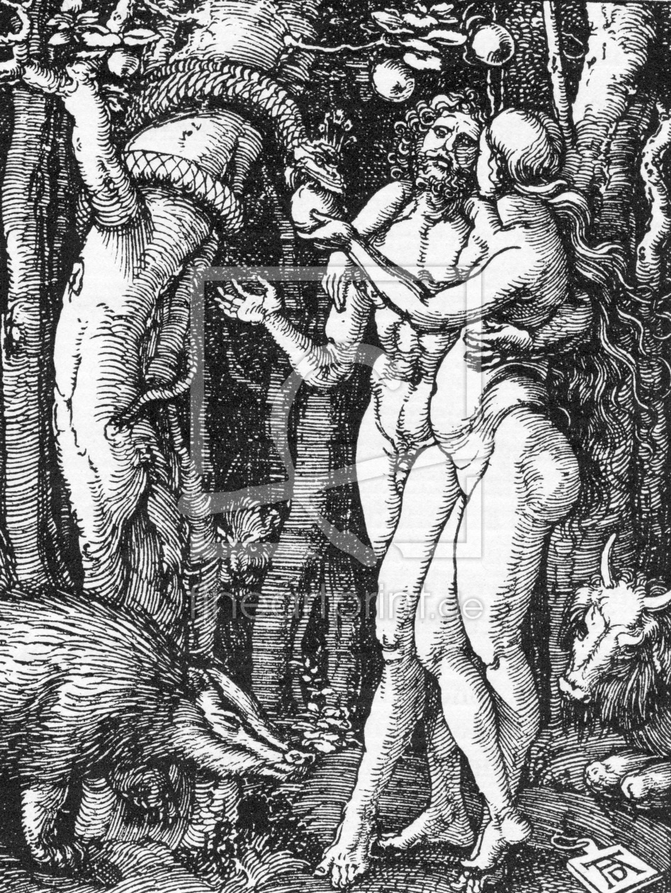 Bild-Nr.: 30004316 Dürer, Adam and Eve / Small Passion Bild-Nr.: 30004316 Dürer, Adam and Eve / Small Passion erstellt von Dürer, Albrecht
