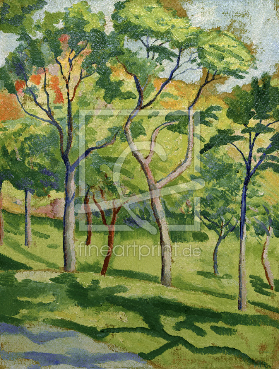 Bild-Nr.: 30005298 August Macke, Bäume in der Wiese erstellt von Macke, August