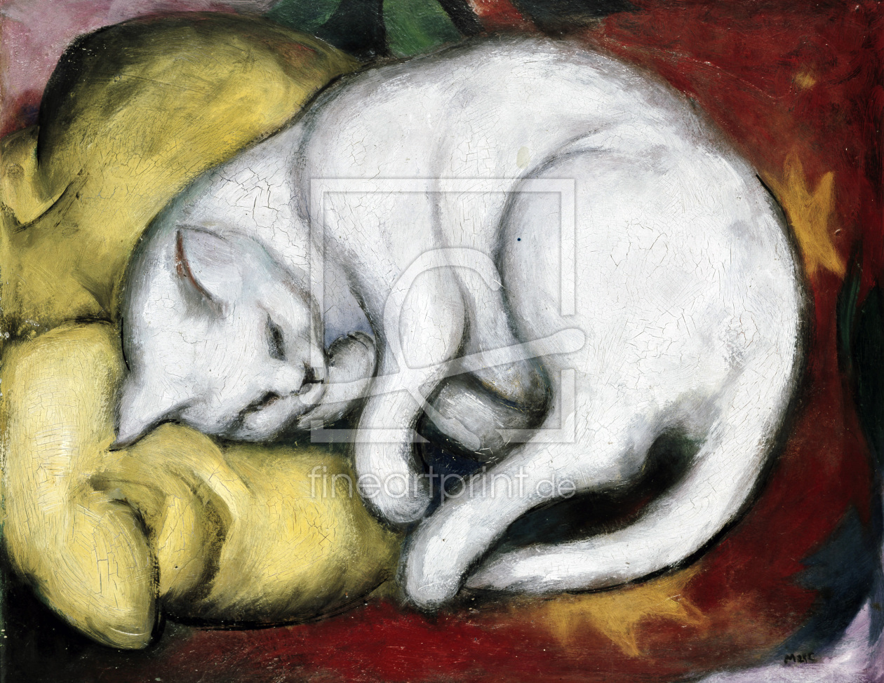 Bild-Nr.: 30005506 Franz Marc / The white cat / 1912 erstellt von Marc, Franz