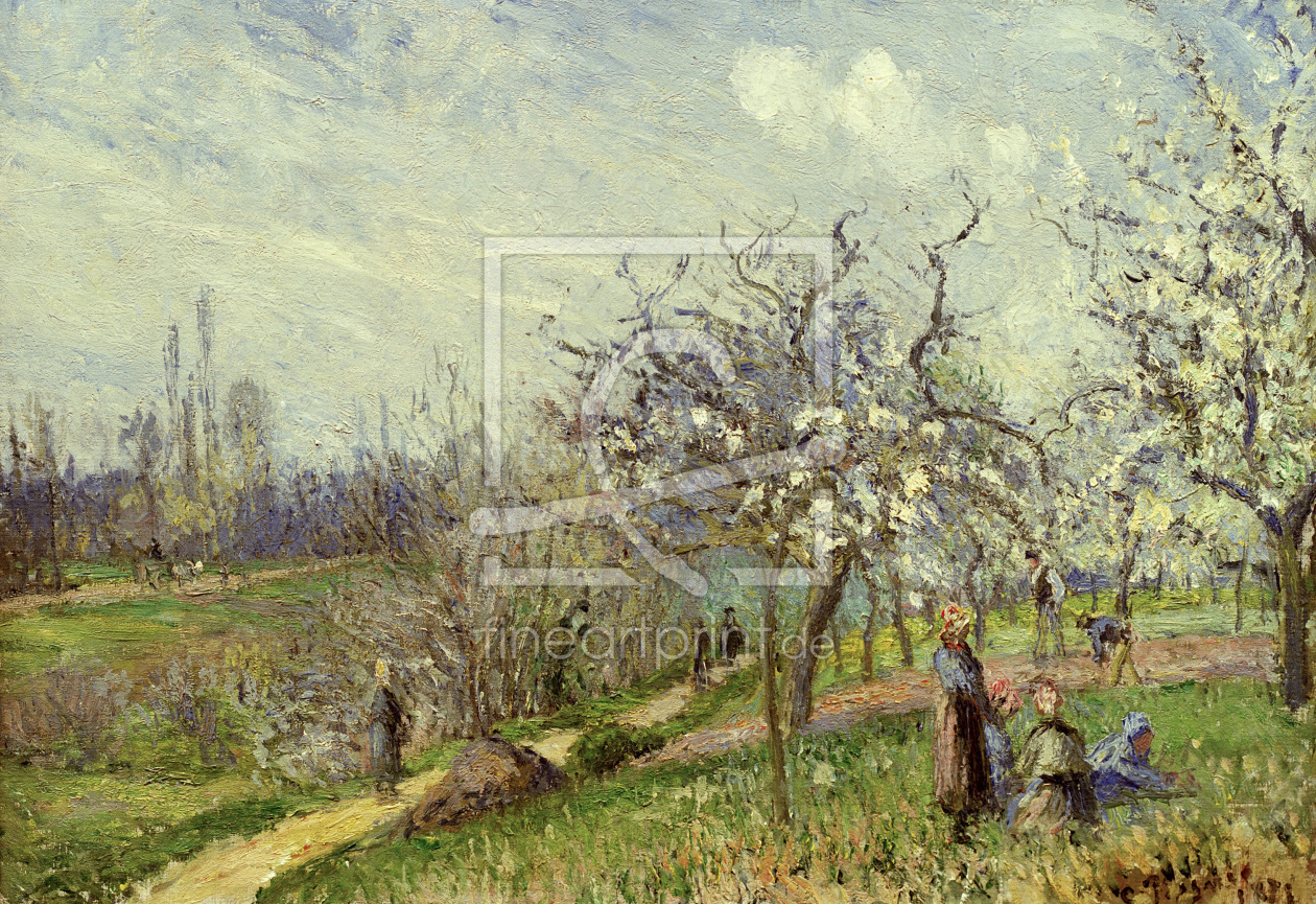 Bild-Nr.: 30006326 Pissarro/ Blühender Obstgarten/ 1872 erstellt von Pissarro, Camille