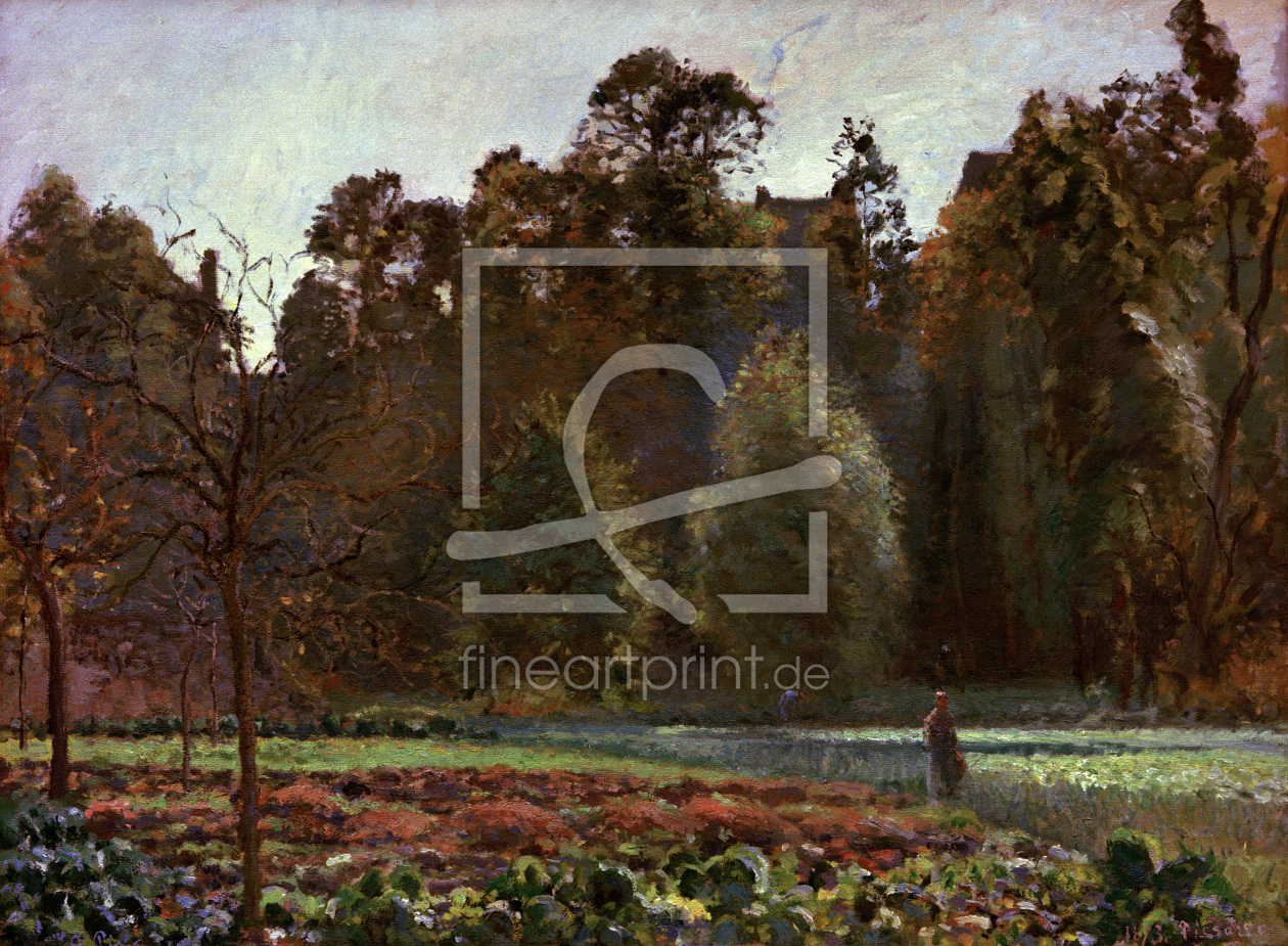 Bild-Nr.: 30006406 Pissarro / Cabbage Field, Pontoise /1873 erstellt von Pissarro, Camille