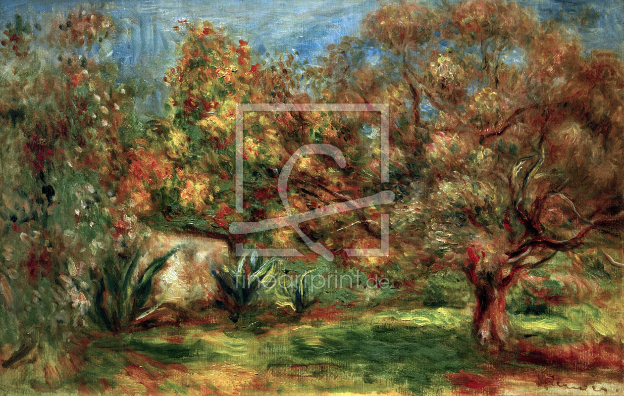 Bild-Nr.: 30006648 Renoir / Olive garden / c.1907-12 erstellt von Renoir, Pierre-Auguste