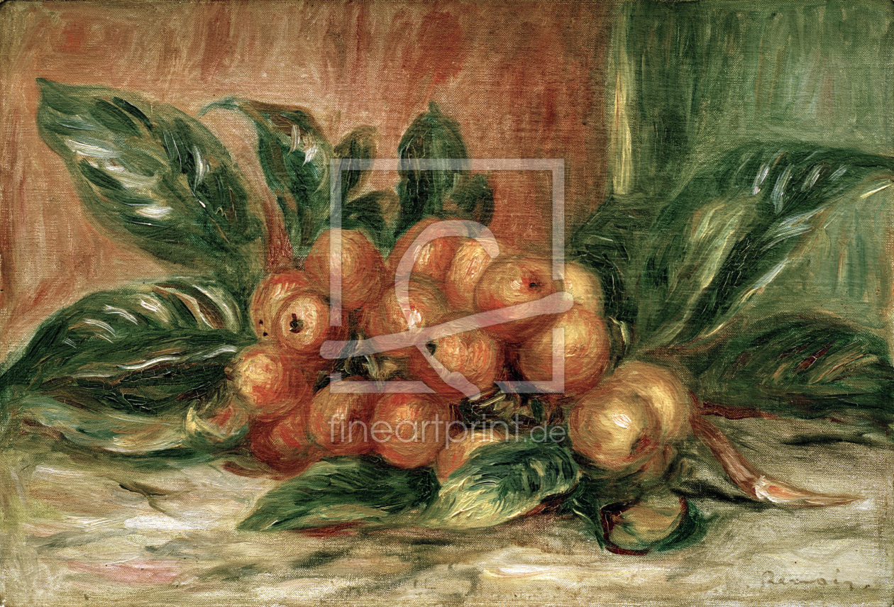 Bild-Nr.: 30006846 Renoir / Medlar branch / c.1900 erstellt von Renoir, Pierre-Auguste