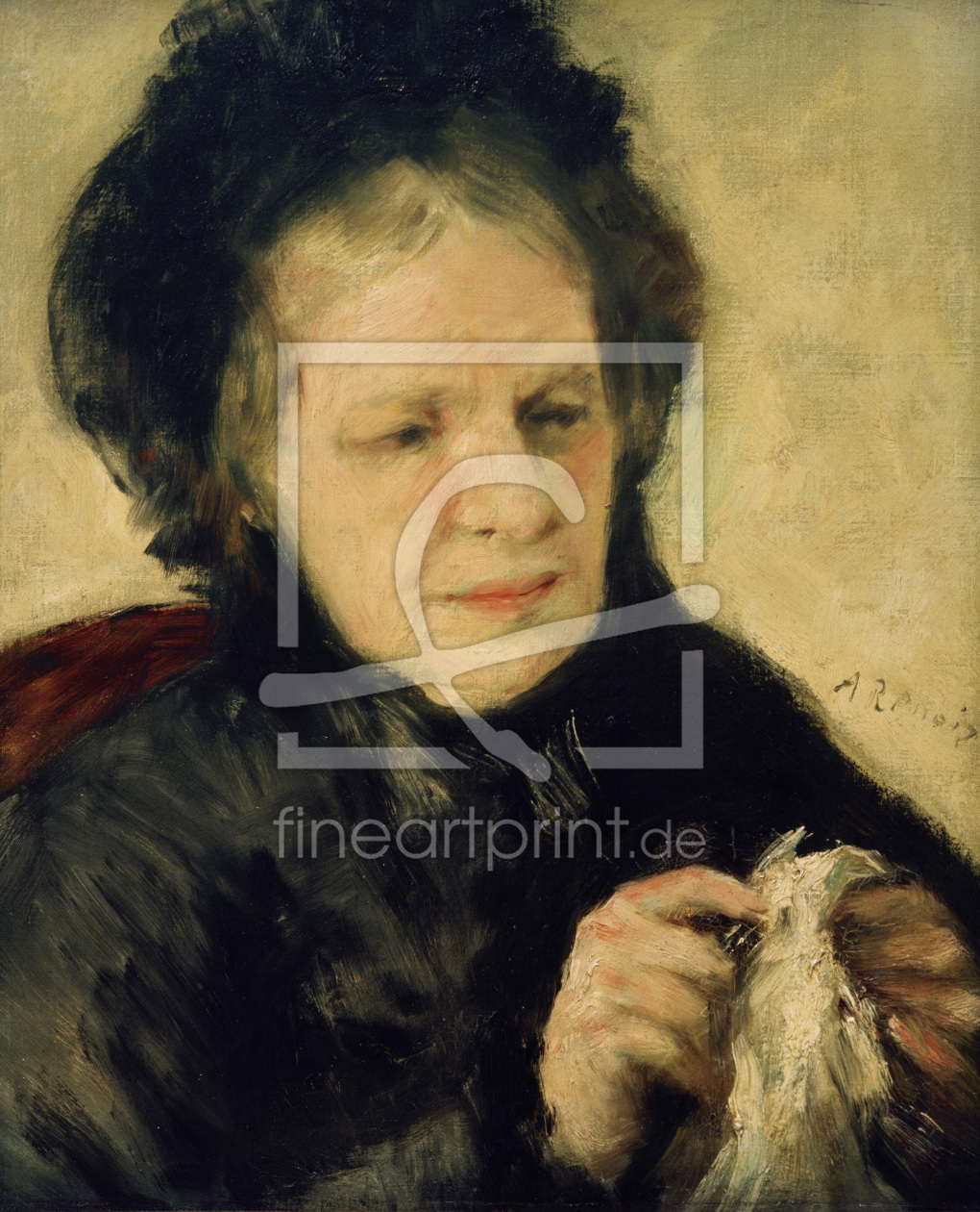 Bild-Nr.: 30007090 A.Renoir, Madame Théodore Charpentier erstellt von Renoir, Pierre-Auguste