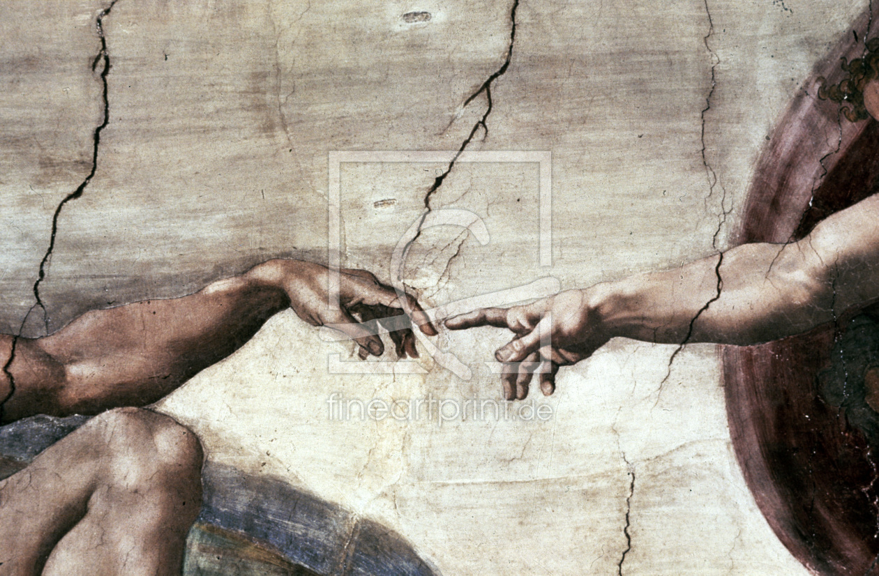 Bild-Nr.: 30007316 The Creation of Adam / Michelangelo erstellt von Buonarroti, Michelangelo (Michelangelo di Lodovico Buonarroti Simoni)