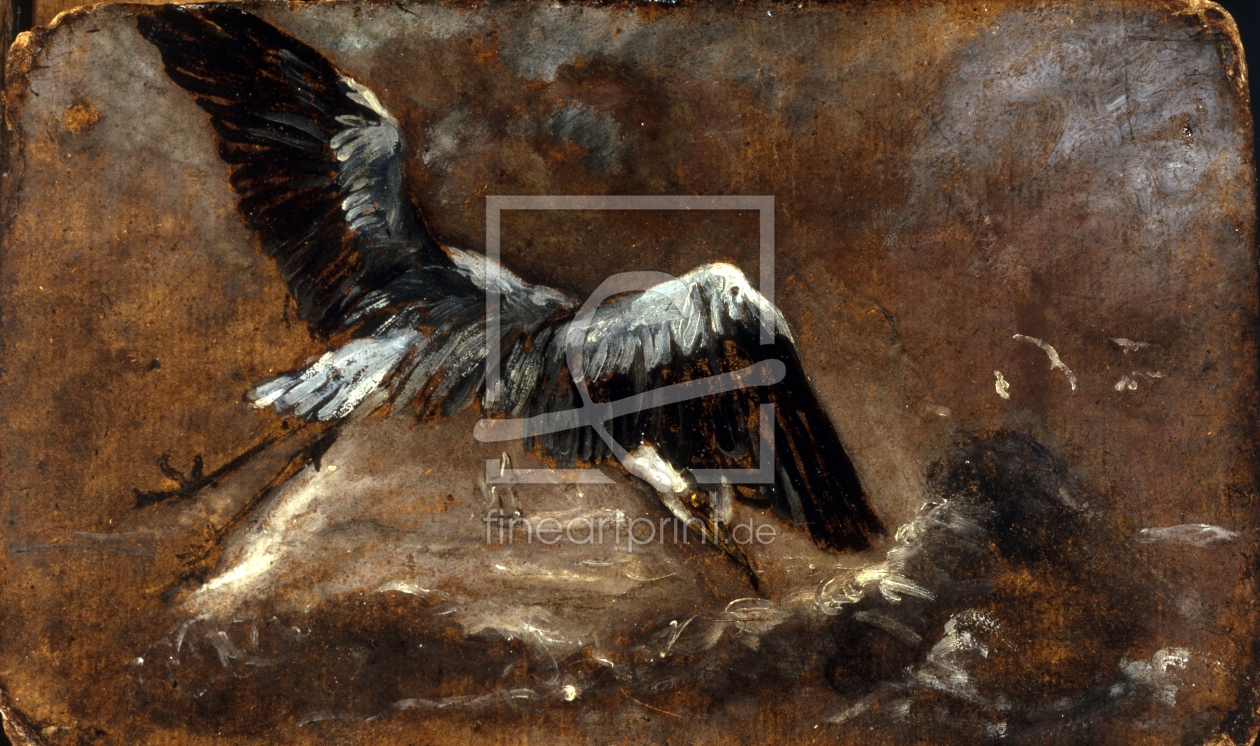 Bild-Nr.: 30008375 J.Constable, Study of a Heron. erstellt von Constable, John