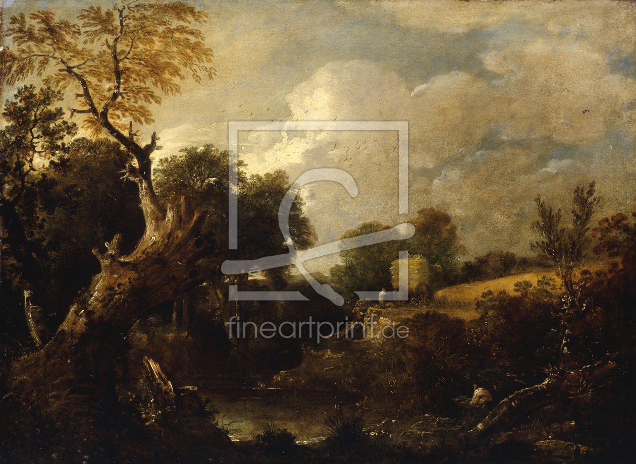 Bild-Nr.: 30008379 J.Constable, The Harvest Field, c.1796. erstellt von Constable, John