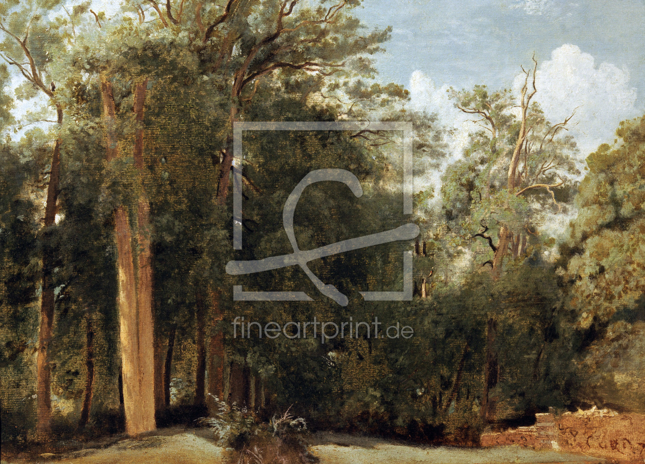 Bild-Nr.: 30008849 C.Corot / Forest Claring / c.1830 erstellt von Corot, Jean Baptiste Camille