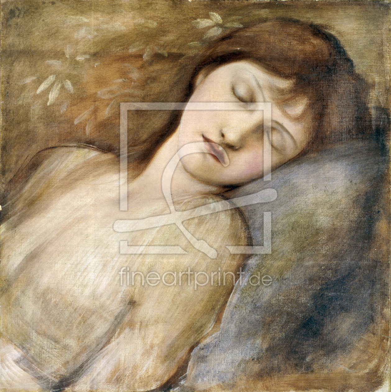 Bild-Nr.: 30009050 E.Burne-Jones, Sleeping Princess erstellt von Burne-Jones, Edward