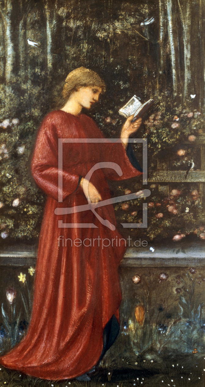 Bild-Nr.: 30009066 E. Burne-Jones, The Princess Sabra. erstellt von Burne-Jones, Edward