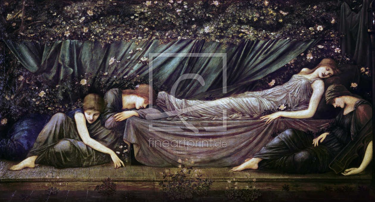 Bild-Nr.: 30009068 E.Burne-Jones, The Sleeping Beauty erstellt von Burne-Jones, Edward