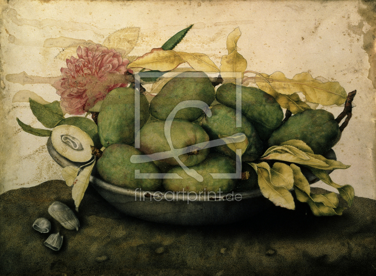 Bild-Nr.: 30009108 G.Garzoni / Bowl with Plums.../ c.1650 erstellt von Garzoni, Giovanna
