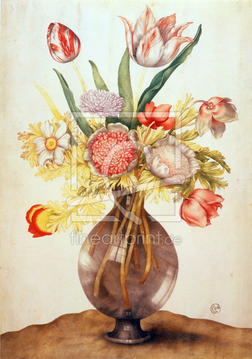 Bild-Nr.: 30009116 G.Garzoni, Tulpen, Mohn u.Päonie erstellt von Garzoni, Giovanna