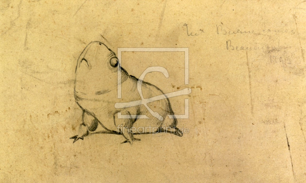 Bild-Nr.: 30009232 E.Burne-Jones, Bull Frog erstellt von Burne-Jones, Edward