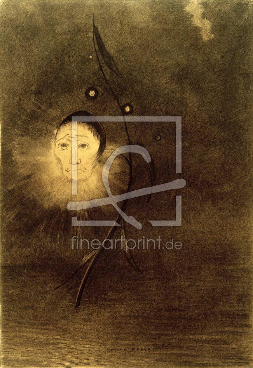Bild-Nr.: 30009720 O.Redon, Marsh Flower / Drawing / c.1884 Bild-Nr.: 30009720 O.Redon, Marsh Flower / Drawing / c.1884 erstellt von Redon, Odilon