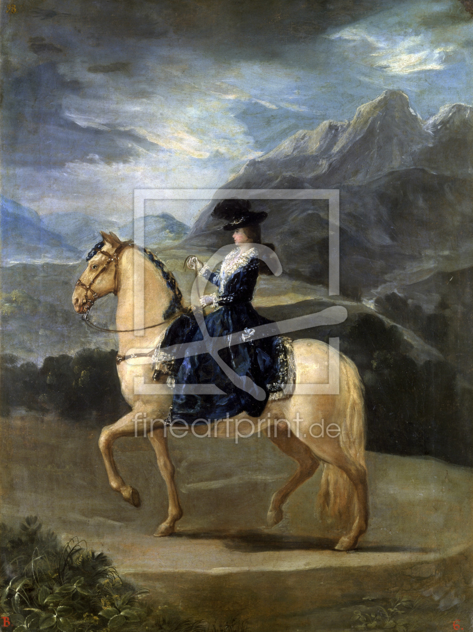 Bild-Nr.: 30009812 Maria Teresa da Vallabriga / Ptg.by Goya erstellt von Goya, Francisco de