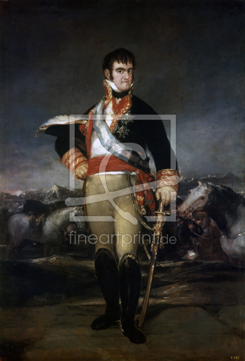 Bild-Nr.: 30009822 Ferdinand VII of Spain / Paint.by Goya erstellt von Goya, Francisco de