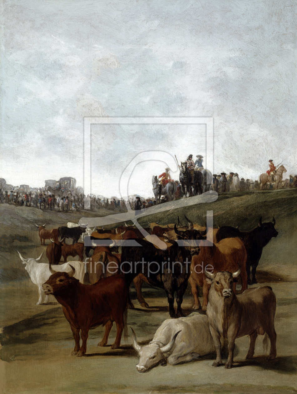 Bild-Nr.: 30009913 F.Goya, Sorting the Bulls. erstellt von Goya, Francisco de