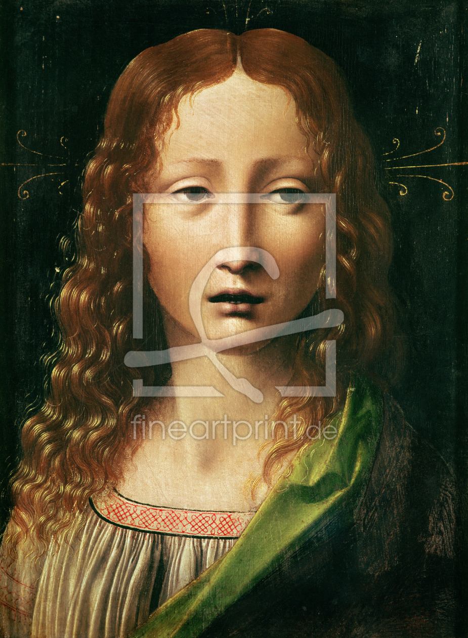 Bild-Nr.: 31000023 Head of the Saviour erstellt von da Vinci, Leonardo