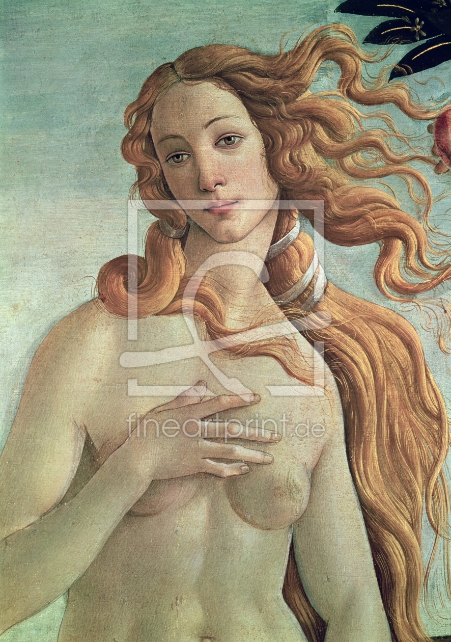 Bild-Nr.: 31000113 Venus, detail from The Birth of Venus, c.1485 erstellt von Botticelli, Sandro