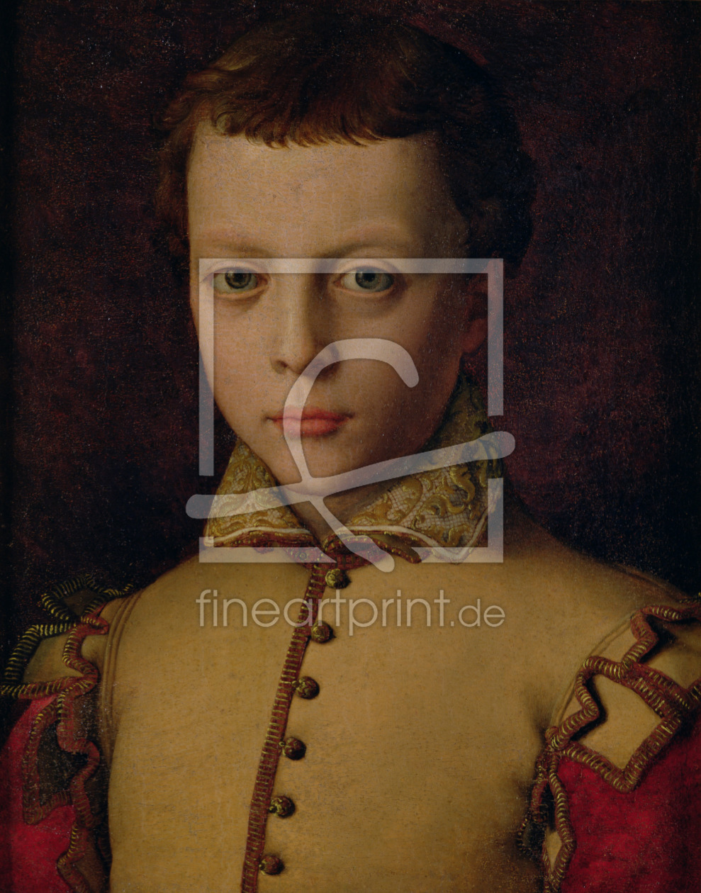 Bild-Nr.: 31000127 Portrait of Ferdinando de' Medici erstellt von Bronzino, Agnolo