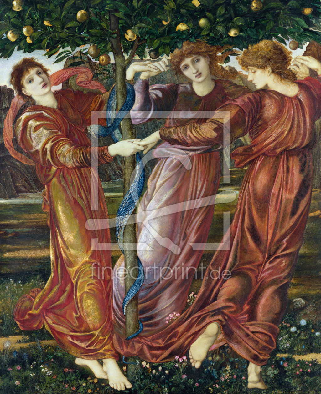 Bild-Nr.: 31000145 Garden of the Hesperides, 1869-73 erstellt von Burne-Jones, Edward