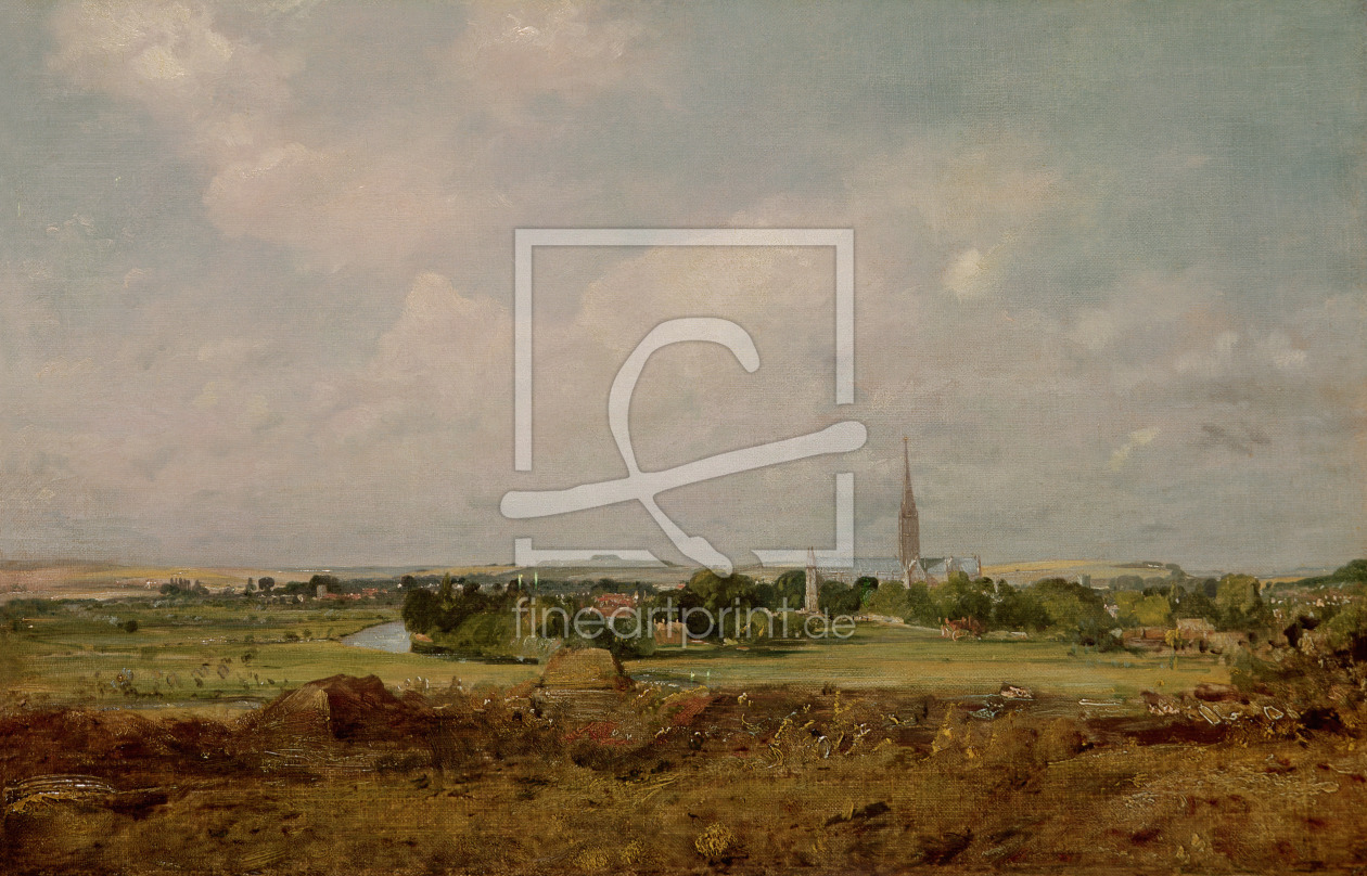 Bild-Nr.: 31000254 View of Salisbury erstellt von Constable, John