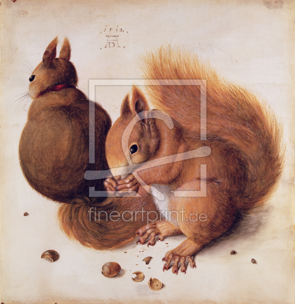 Bild-Nr.: 31000354 Squirrels, 1512 erstellt von Dürer, Albrecht